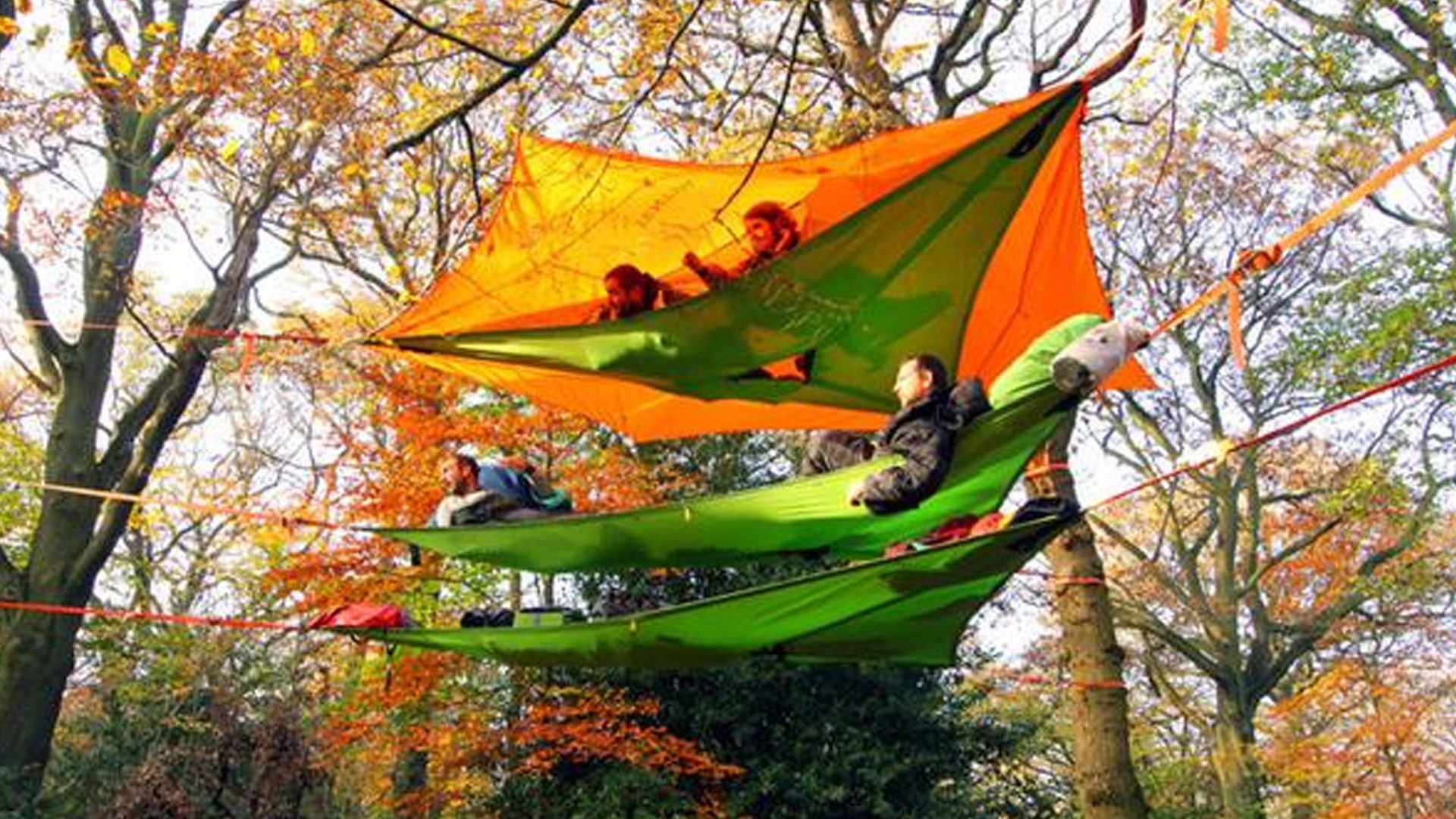 Read 5 Top Tree Tents That Will Rock Your Next Camping Trip