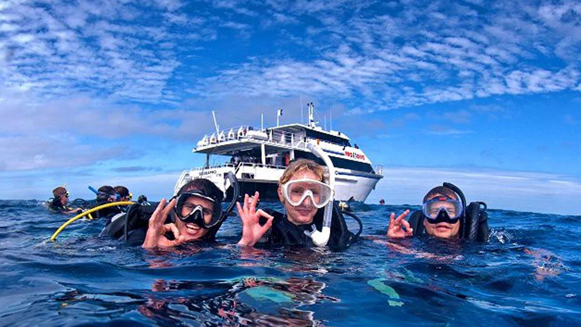 Read Experience a New Way to Dive with Liveaboard Diving