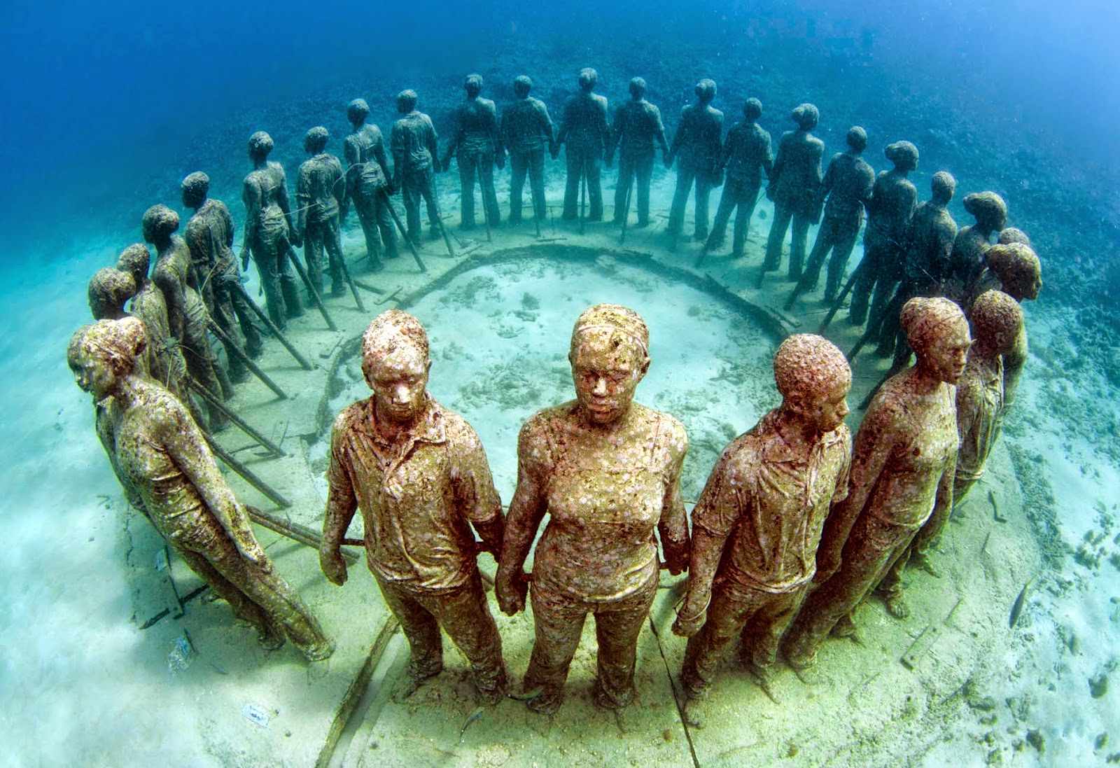 Explore Bermuda’s Riveting Underwater World on a Wreck Dive