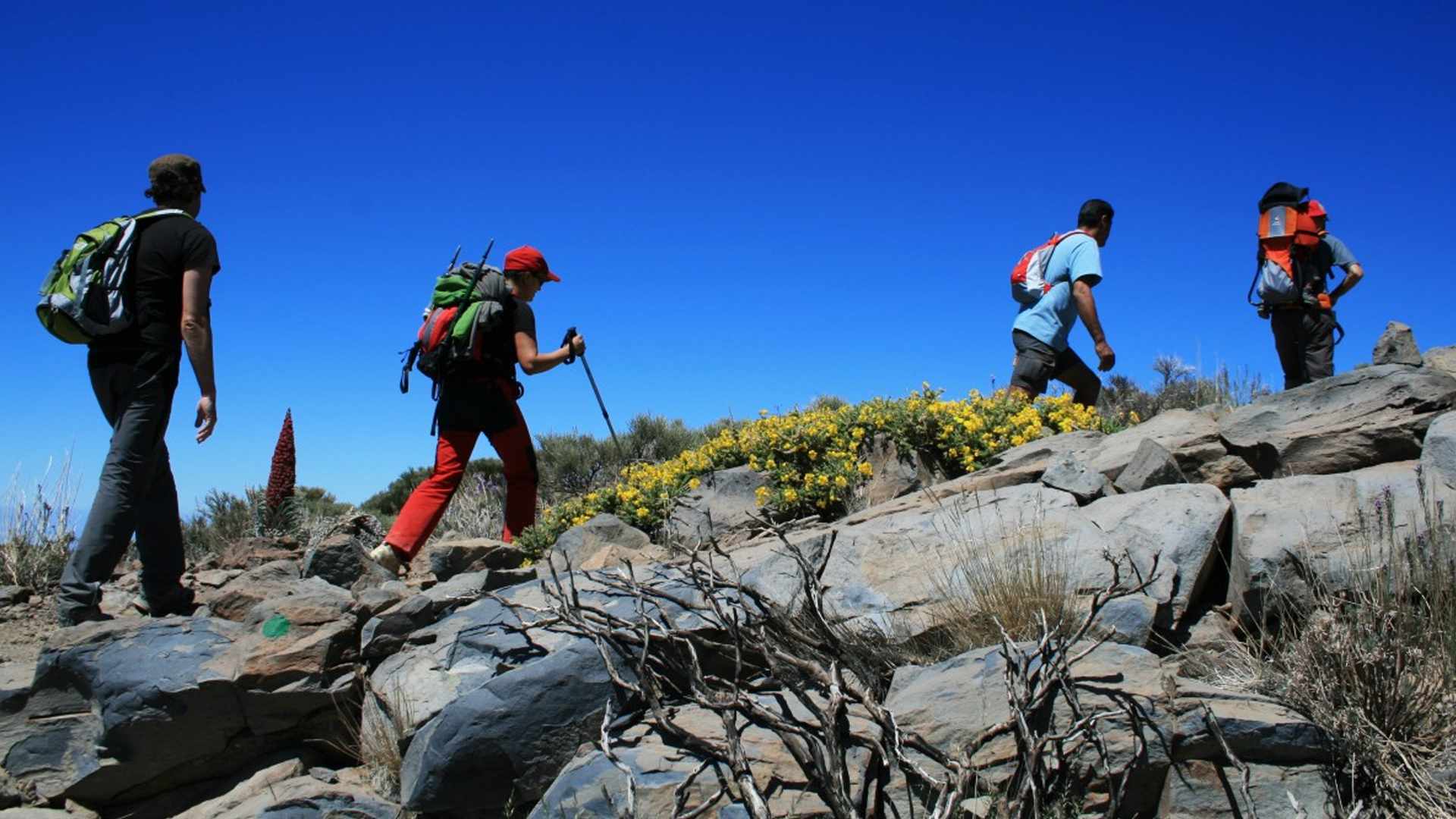 Read Happy Hiking in the Canaries: La Palma and La Gomera on Foot
