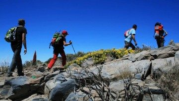 Happy Hiking in the Canaries: La Palma and La Gomera on Foot