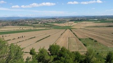 Let Languedoc’s Landscape Tell You its Story at Montady