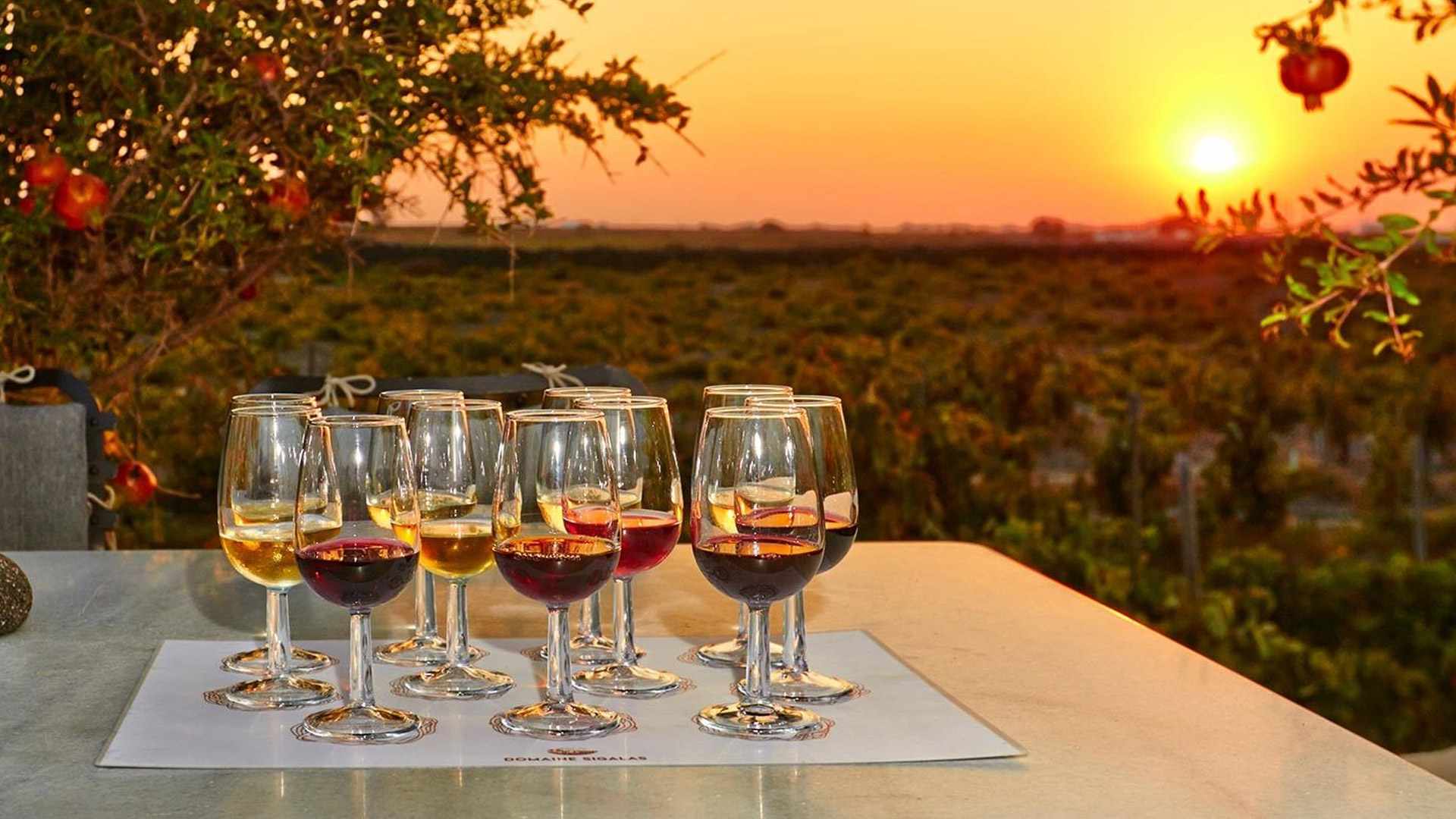 Read Take a Wine Tour of the British Islands
